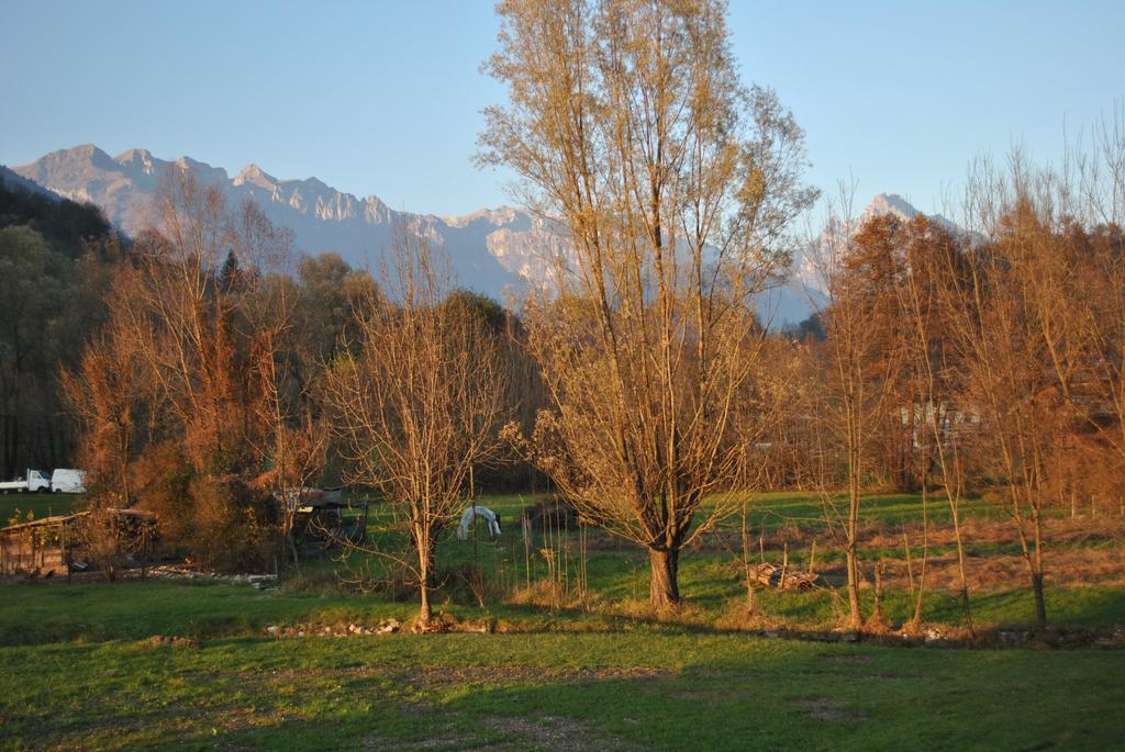 Agriturismo Il Girasole Feltre Extérieur photo