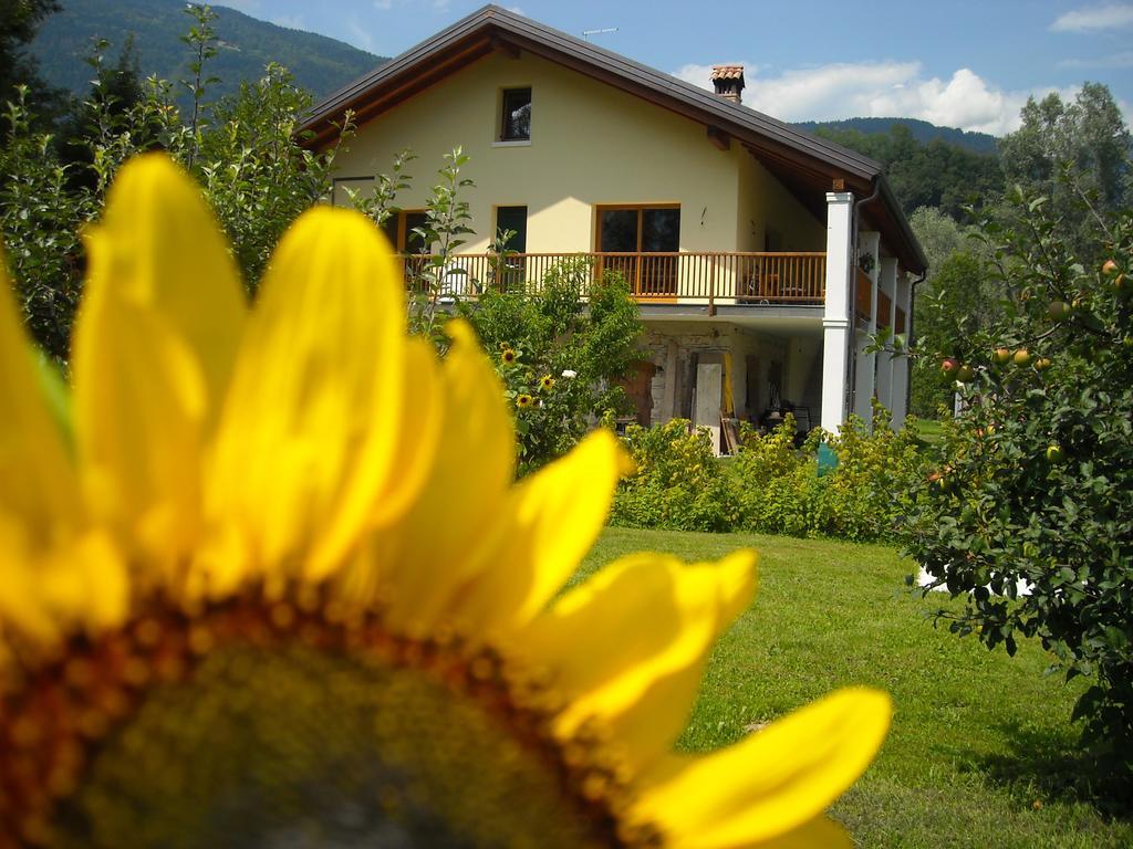 Agriturismo Il Girasole Feltre Extérieur photo